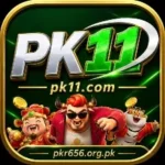 PK11 Game (2)